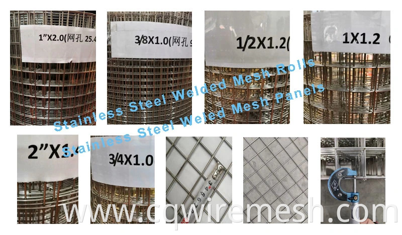 Galvanized Wire Mesh/Welded Wire Mesh/ Construction Welded Mesh /Welded Mesh Panel for Animal Cage Mesh/S/Wire Mesh for Garden Fence/Fence Panel/Wire Mesh